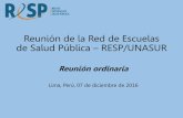 Reunión de la Red de Escuelas de Salud Pública – RESP/UNASUR. ANEXO... · 2017-02-16 · Oferta de, por lo menos , 1 curso en el ámbito de cooperación bilateral o multilateral