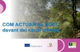 COM ACTUAR AL BOSC davant del canvi climàticeforown.ctfc.cat › pdf › 29_Com actuar al bosc CAT.pdf · 2019-10-31 · Davant el canvi climàtic, és indispensable actuar per adaptar-se.