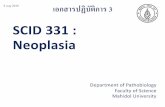 งานนำเสนอ PowerPoint - Mahidol University...งานนำเสนอ PowerPoint Author Hewlett-Packard Company Created Date 7/23/2019 4:45:07 PM ...