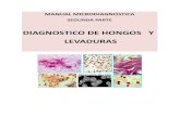DIAGNOSTIO DE HONGOS Y LEVADURAS - LabLinsan › manual › MANUAL_PARTE_2.pdf · Estos hongos se han clasificado según su hábitat en antropofílicos, zoofílicos y geofísicos.