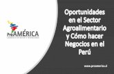 Oportunidades enelSector Agroalimentario yCómohacer Perú...•Mayoría del Fujimorismo Agrupación Política Congresistas Fuerza Polular 73 Frente Amplio 20 Peruanos por el Cambio
