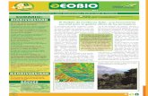 Boletín informativo sobre Geodiversidad y Biodiversidad de … · 2015-05-25 · El buitre negro se establece por primera vez en nidales instalados por Andalucía y Portugal en el