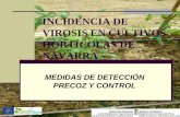 INCIDENCIA DE VIROSIS EN CULTIVOS …...2016/03/04  · ENFERMEDADES. Anexo II especies hortícolas, cultivo y vivero. RESOLUCIÓN 486/2015 MEDIDAS FITOSANITARIAS CONTROL VECTORES