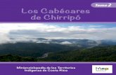 TOMO2-N · Minienciclopedia de los erritorios Indígenas de osta ica –4– –5– PRÓLOGO D esde finales del siglo XX Costa Rica se vislumbra como un país “multiétnico y pluricultural,