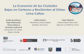 La Economía de las Ciudades Bajas en Carbono y Resilientes ... · (exc. refrigeradoras) • Refrigeradoras de alta eficiencia • Artefactos de cocina de mediana eficiencia (exc.