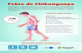 Folder Febre de Chikungunya - Belo HorizonteFebre de Chikungunya Sintomas mais comuns: Chikungunya significa aparência curvada dos pacientes, motivada pelas fortes dores musculares