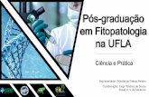 Representante: Priscilla de Fátima Pereira Coordenação: Jorge … · 2019-09-20 · Fisiologia do parasitismo (D ) Epidemiologia Técnicas, conceitos modernos na caract. de fungos(D)