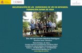 Presentación de PowerPoint€¦ · Misión Biológica de Galicia Consejo Superior Investigaciones Científicas (CSIC) Carballeira 8, 36143 Salcedo, Pontevedra, España. Teléfono: