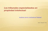 Los tribunales especializados en propiedad intelectualjeanclaude.mx/wp-content/uploads/2008/04/Tribunales... · 2017-02-09 · –Software – Artistas, intérpretes y ejecutantes