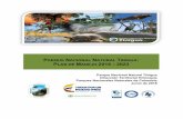 PARQUE NACIONAL NATURAL TINIGUA PLAN DE ......Parques Nacionales Naturales de Colombia Parque Nacional Natural Tinigua Plan de Manejo 2018-2023 1 JUAN MANUAL SANTOS CALDERÓN PRESIDENTE