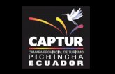 ACTUAMOS - CAPTUR · 14-18 de noviembre 2016 Miami y New York 18 Promoción de Quito para viajes de incentivos. Para el 2017 vendrán dos viajes de incentivos de una empresa américa