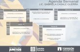 Agenda Semanal - Torreón NOV AL... · 2019-06-10 · Agenda Semanal LIC. GABRIELA CASALE GUERRA. Cabildo Torreón! Hora! Lunes 28! 09:00 11:00! ATENCIÓN A LA CIUDADANIA. 11:30 13:00!