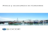 Pesca y acuicultura en Colombia - OECD · La actual compleja combinación de los controles sobre los tipos de pesca, cuotas de captura, y restricciones sobre dónde y cuando la pesca