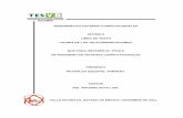 INGENIERÍA EN SISTEMAS COMPUTACIONALES OPCIÓN II …tecomunicacion.webcindario.com/Archivos/Libro telecomunicaciones completo.pdf2.5.1 Modulación por desplazamiento dé Amplitud