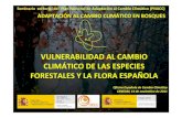 VULNERABILIDAD AL CAMBIO CLIMÁTICO DE LAS ESPECIES ... · Vegetación MapaForestalde España 75 especies leñosas Especiesamenazadas Inventario Nacional de Biodiversidad 145 especies