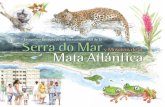 Serra do Mar Mata Atlántica · su vegetación nativa y hoy en día apenas un 7% se encuentra bien conservado en fragmentos de más de 100 hectáreas, según Ministerio de Medio Ambiente1.