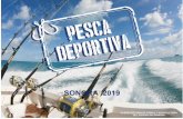 Calendario pesca deportiva - Sonoraoiapes.sagarhpa.sonora.gob.mx/notas/pescadeportiva2017.pdf · pesca deportiva sonora 2019 subsecretaria de pesca y acuacultura del estado de sonora