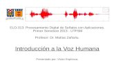 Introducción a la Voz Humanamzanartu/ELO313/Docs/... · ELO-313: Procesamiento Digital de Señales con Aplicaciones. Primer Semestre 2013 - UTFSM Profesor: Dr. Matías Zañartu.
