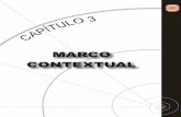Capítulo 3: Marco Contextual - Universidad de las ...catarina.udlap.mx/u_dl_a/tales/documentos/meni/n... · redimensión y renovación de personal, elaborándose diversos macroprocesos