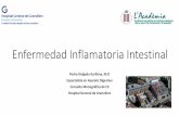 Enfermedad Inflamatoria Intestinal - Enfermedad Inflamatoria Intestinal Pedro Delgado Guillena, M.D