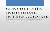 CONSULTORÍA INDIVIDUAL INTERNACIONAL … · Consultoría de apoyo al Tribunal Superior de Cuentas para la aplicación de Técnicas de Auditoría Asistidas por el Computador Abril