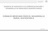 Presentación de PowerPoint - CMDRS2018/09/14  · ASERCA fue creada con el objetivo de sustituir CONASUPO, en la comercialización y ordenamiento de los mercados de granos y oleaginosas,