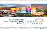 INFORME PROVINCIAL 2017 - Objetivos de Desarrollo Sostenible · 2019-09-05 · INFORME ODS PROVINCIAS • JuJuy 2017 4 En las siguientes páginas se presenta un recorrido a través