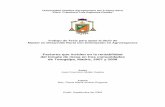 Factores que inciden en la rentabilidad del tomate de mesa ...repositorio.ucatse.edu.ni/5/1/Tesis Año 2009 NO 19.pdf · Master en Desarrollo Rural con Orientación en Agronegocios