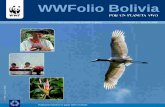 WWFolio Bolivia - d2ouvy59p0dg6k.cloudfront.netd2ouvy59p0dg6k.cloudfront.net/downloads/wwfolio_n_2.pdf · Bajos, del que podrá leer más en la sección Bosques & Amazonia Vivos en
