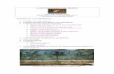 LA PINTURA ROMANA DE JARDINES - · PDF file 2009-12-25 · • La pintura romana de jardines y su interpretación • ¿Arte ilusionista? • Las fuentes clásicas. • Significados: