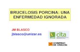 BRUCELOSIS PORCINA: UNA ENFERMEDAD IGNORADA€¦ · - Blastogénesis - detección IL / IFNg DIAGNOSTICO DE LA BRUCELOSIS PORCINA