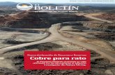 El BOLETÍN - Riotinto€¦ · El Boletín - Proyecto Riotinto - Atalaya Mining 03/2016 - Nº79 El Proyecto Riotinto aumenta su vida útil hasta los 16 años gracias al esfuerzo investigador