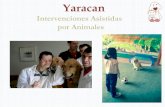 Presentación de PowerPoint - COLVEMA · Alguno de nuestros proyectos • Trabajamos en el Hospital Universitario de Torrejón de Ardoz desde 2012 atendiendo a distintos grupos de