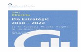 Pla Estratègic 2018 2022. Edició 1a.€¦ · Pla Estratègic 2018 – 2022. Edició 1a. Fundació Privada Hospital Asil de Granollers Índex A. Antecedents del Pla estratègic 6