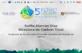 Soffía Alarcón Díaz Directora de Carbon Trust Programa … · Congreso asigna recurso al Fondo Ambiental (noviembre) Consulta pública del PEACC (mar-abr) CICC aprueba el PEACC