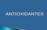 ANTIOXIDANTES - UNAMdepa.fquim.unam.mx/amyd/archivero/Lipidos-6_24713.pdf · Los antioxidantes inhiben la reacción en cadena actuando como donadores de hidrógeno o como aceptores