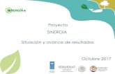 Proyecto SINERGIA Situación y avance de resultados Octubre ... · Denominación: “Fomento a la sinergia institucional para consolidar la gestión de las ANP de México” SINERGIA