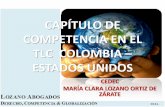 CAPÍTULO DE COMPETENCIA EN EL TLC COLOMBIA ESTADOS …€¦ · promover el mayor entendimiento, comunicaciÓn y cooperacion entre las partes en relaciÓn con las materias cubiertas