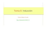 Tema 6: Inducción - Universidad de SevillaGITI)_Fatima/Apuntes/10-11/tema6-induccio… · Tema 6: Inducción 19/41 5. Campo eléctrico inducido Consideremos el siguiente ejemplo: