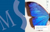 Abril ´15 - culturaydeporte.gob.es9fc054c2-7be6...Un curioso regalo Cómo llega esta colección de mariposas a manos del pintor es una curiosidad. En una carta mecanogra-fiada del