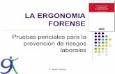 LA ERGONOMIA FORENSE - SEMACsemac.org.mx/archivos/9-7.pdf · LA ERGONOMIA FORENSE Pruebas periciales para la prevención de riesgos ... zSeguridad marítima ... ACCIDENTES DE TRABAJO