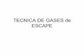 TECNICA DE GASES de ESCAPE - I.E.S Sierra de Guara · CO: monóxido de carbono • Los valores medidos de CO se indican en porcentaje sobre el volumen total de gases emitidos. Y el