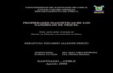PROPIEDADES MAGN TICAS DE LOS NANOHILOS DE NêQUEL · 2018-11-15 · UNIVERSIDAD DE SANTIAGO DE CHILE FACULTAD DE CIENCIA DEPARTAMENTO DE FêSICA PROPIEDADES MAGN TICAS DE LOS NANOHILOS