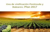 Uva de vinificación Península y Baleares: Plan 2017 · 2018-04-27 · MODIFICACIONES PARA EL PLAN 2017 9 Aclaración del inicio de garantías del módulo P.- Cuando más del 10%