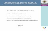2012-06-08 PACE Rapaces Neotropicales-BORRADOR · implementación de actividades productivas alternativas, desarrollo comunitario, y sinergia institucional. De esta forma se pretende