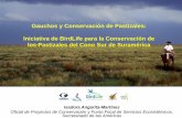Gauchos y Conservación de Pastizales: Iniciativa de …...ecoregiones de pastizal del mundo (junto con las praderas de Norteamérica, las sabanas Africanas, y las estepas Asiáticas)