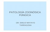 PATOLOGÍA ZOONÓSICA FÚNGICAfundacionio.org/docs/cursos/patologia_zoonosica_fungica.pdf · Enfermedad Fúngica Invasora • Eur J Clin Microbiol Infect Dis. 2005;24:61-64. • Pneumonia