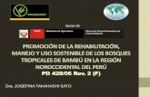 PROMOCIÓN DE LA REHABILITACIÓN, MANEJO Y USO …...reforestación y el aprovechamiento sostenible del bambú. Históricamente, es un elemento importante en la construcción. El Perú