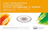 Las relaciones comerciales entre Uruguay e India · importados de India en el primer semestre de 2016 Fuente: DNII en base a SmartDATA. 10,0 Gráfico N° 6 – Productos importados
