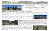 al 3 de Enero de 2014 Senderismo en Tenerife Senderismo... · Acantilados de los Gigantes y con posibilidad de avistamiento de delfines. Nivel: 2+ ↑↑↑↑50 ↓↓↓↓650 6km